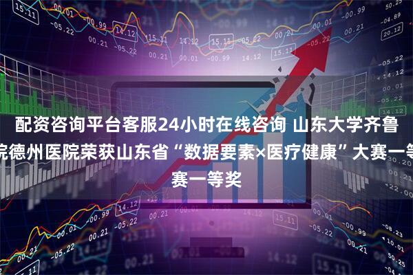 配资咨询平台客服24小时在线咨询 山东大学齐鲁医院德州医院荣获山东省“数据要素×医疗健康”大赛一等奖